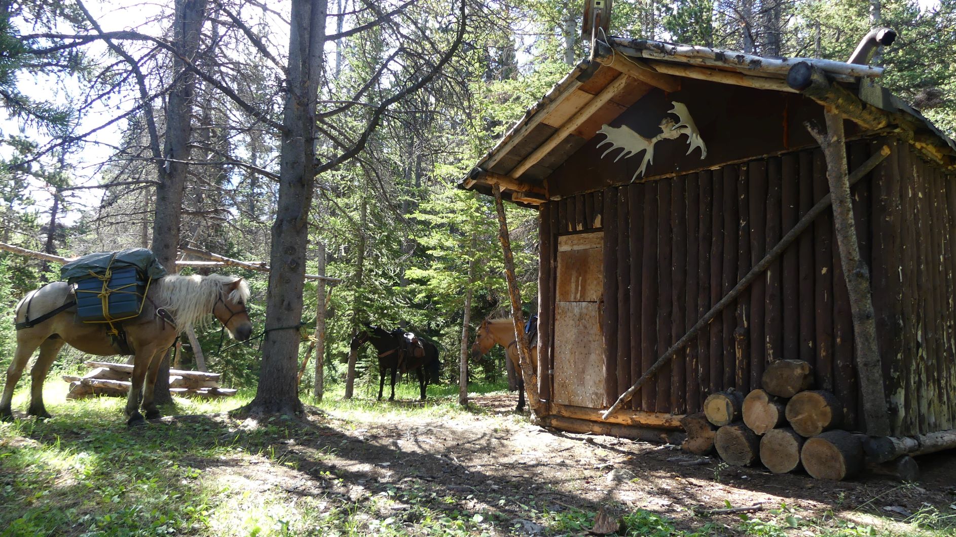 Big Creek Cabin | Wilderness Trails